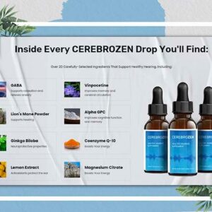 CerebroZen Review 4 S286K 1